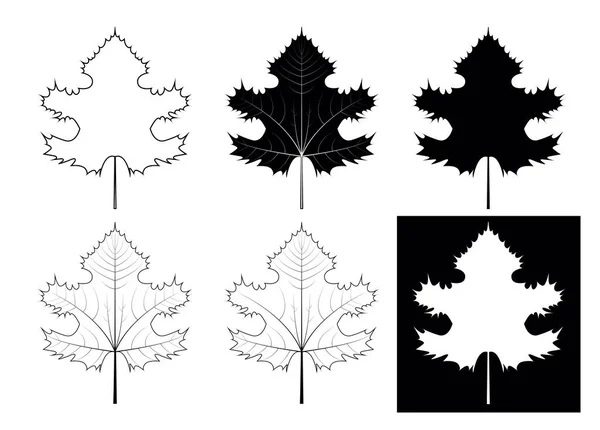 Uppsättning av hösten lämnar variationer — Stock vektor