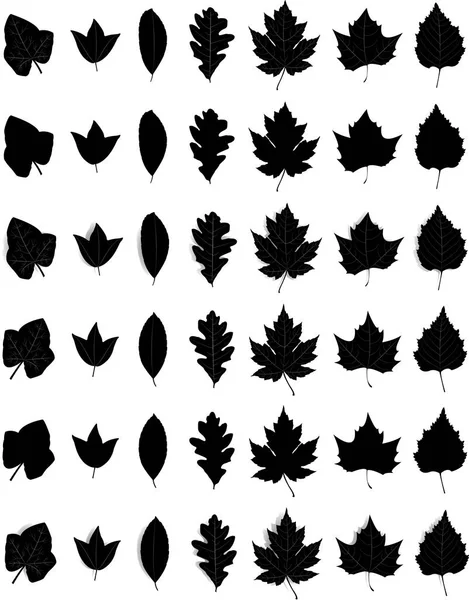 TiskSet de hojas de otoño — Vector de stock