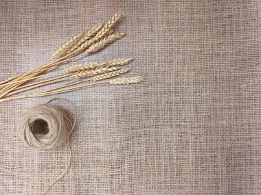 Buğday kulakları ve eski çuval bezi fotokopi alanının arka planında jüt sicimi. Düz konum, üst görünüm, metin için yer.