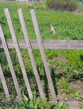 Gri dar tahtalardan yapılmış eski bir kırsal çit. Çimlerin ve kırsal arazinin arka planına karşı onarılması gerekiyor. Kırsal yaşam kavramı.