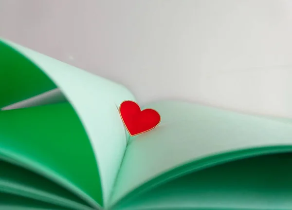 Λεπτή Καρτ Ποστάλ Παστέλ Χρώματα Ένα Ανοιχτό Βιβλίο Ανοιχτόχρωμα Πράσινα — Φωτογραφία Αρχείου