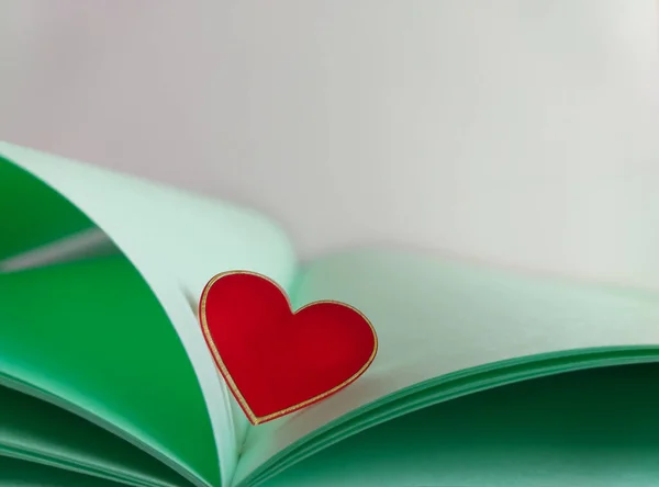 Λεπτή Καρτ Ποστάλ Παστέλ Χρώματα Ένα Ανοιχτό Βιβλίο Ανοιχτόχρωμα Πράσινα — Φωτογραφία Αρχείου