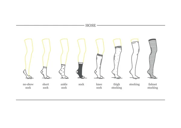 ベクトル画像 異なる長さの女性の靴下とストッキングのセット ダミーの脚に靴下とストッキング — ストックベクタ