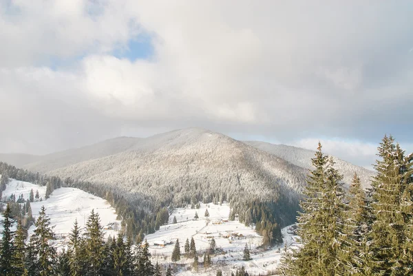 Carpathians 아름 다운 산 풍경 샷 — 스톡 사진