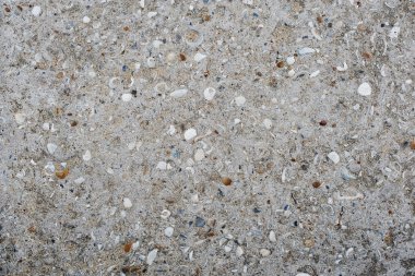 Asfalt yol doku seashell ile doku