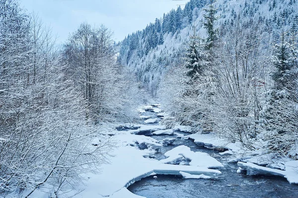 Winter berg rivier na de sneeuwval — Stockfoto