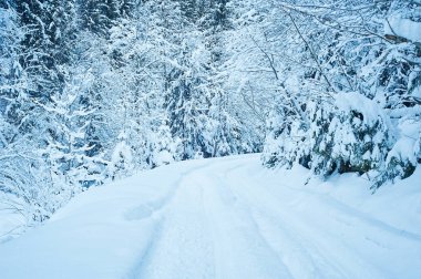 Kış yol kar yağışı sonra