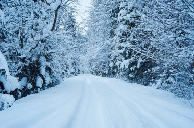 Kış yol kar yağışı sonra