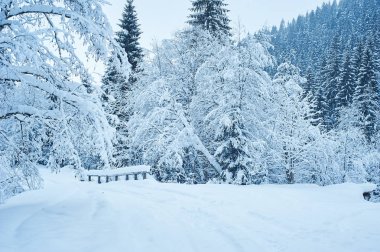 Kış yol kar yağışı sonra