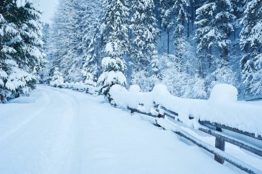 Kış yol kar yağışı sonra