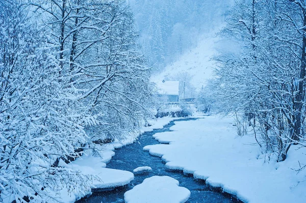 Winter mountain river after the snowfall — Stock Photo, Image