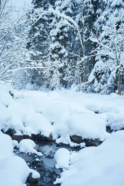 Winter mountain river after the snowfall — Stock Photo, Image