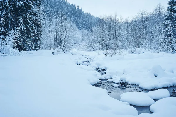 Winter mountain river after the snowfall — Stock Photo, Image
