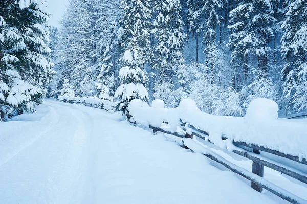 Kış yol kar yağışı sonra
