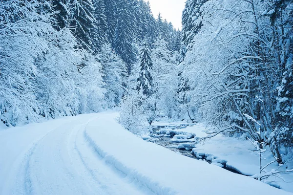 Winter road after the snowfall — Stock Photo, Image