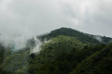 Karpatlar 'ın Ukrayna dağlarında dalgalı gökyüzü