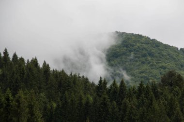 Karpatlar 'ın Ukrayna dağlarında dalgalı gökyüzü