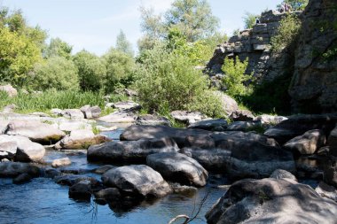 Nehirdeki ağaçlar ve taşlar