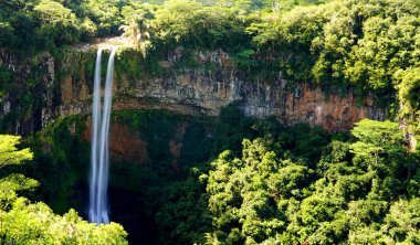 Tropik ormanın ortasına düşen su, Mauritius 'taki Alexandra şelalesi.