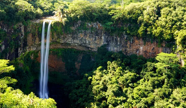 Tropik ormanın ortasına düşen su, Mauritius 'taki Alexandra şelalesi.