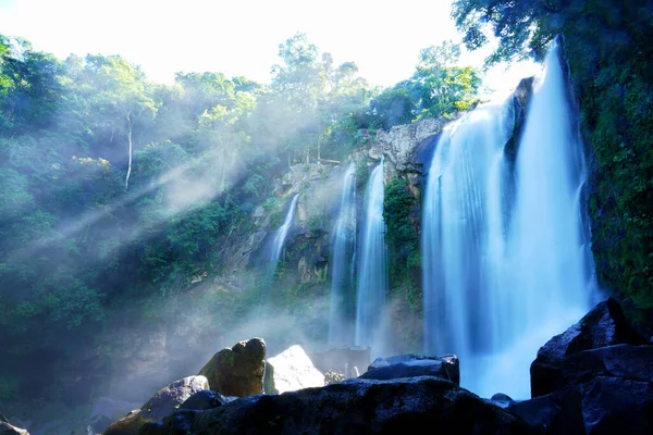 Nauyaca ormanın ortasına inanılmaz bir yolculukta düştü.