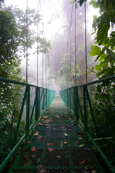 Monteverde, Kosta Rika 'da sisli bir günde asılı köprü