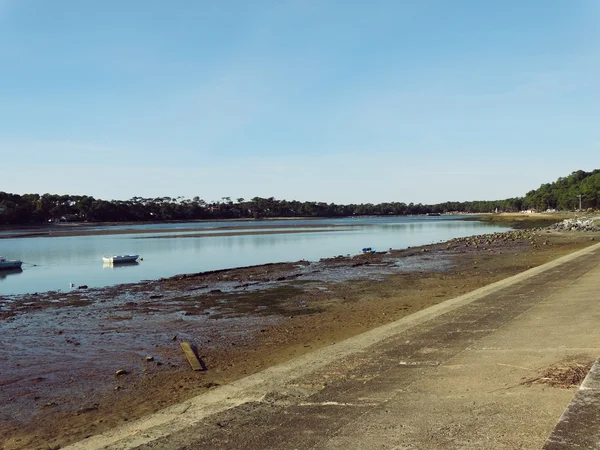 Oyster Beds a Capbreton Francia — Foto Stock