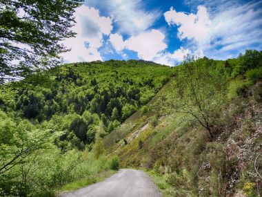 Irati Forest Park Navarra İspanya'da trekking
