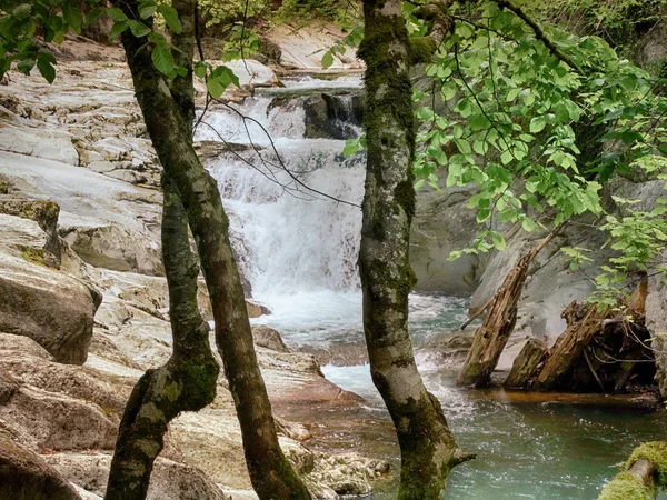 Cascada Cubo en el Parque Natural del Bosque Irati en Navarra España —  Fotos de Stock