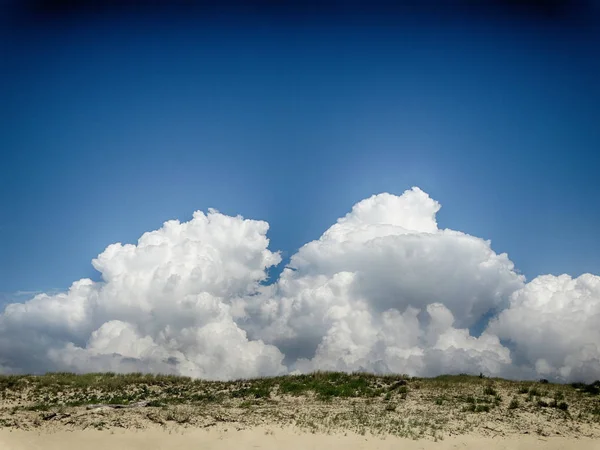 THES Landes krajina ve Francii — Stock fotografie