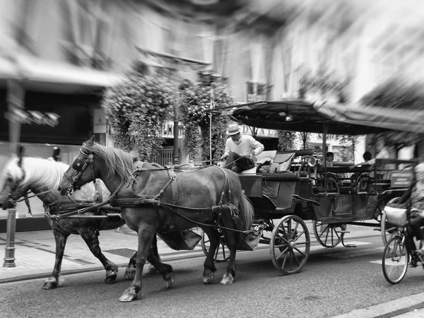 Taşıma Tarbes Fransa turistik turlar