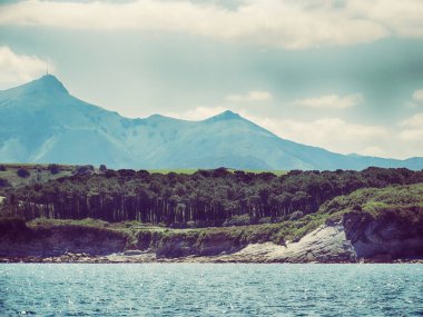 Çam ormanı ve La Kişilik dağ Deniz Manzaralı