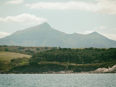 La Kişilik dağ ve Deniz Manzaralı ormandan çam