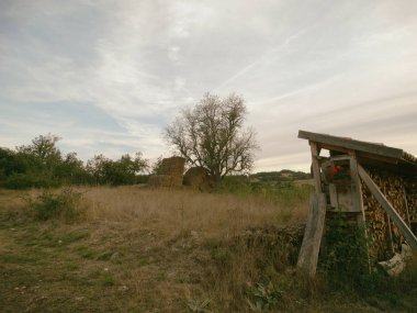 Eski kabin ve Castilla Burgos ağacında