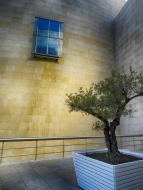 Guggenheim Bilbao Müzesi açık havada ağaç, pencere ve yansımalar-Eylül 2017