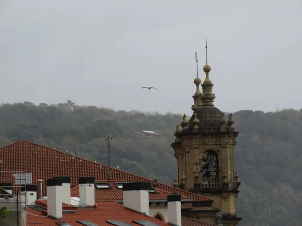 屋根、塔、鳥の Fliying — ストック写真