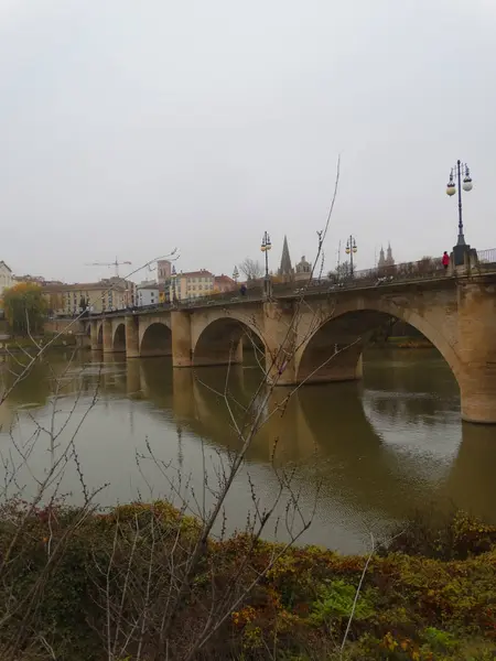 Старый Мост Риохе Через Реку Эбро Городе Логроно — стоковое фото
