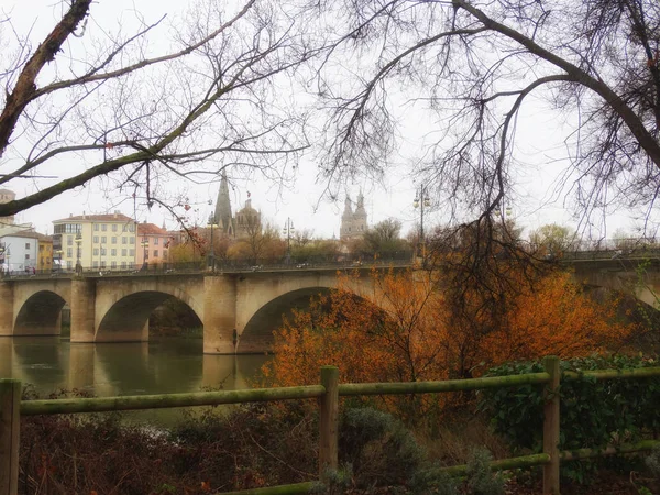 Puente Viejo Rioja Sobre Río Ebro Ciudad Española Logrono —  Fotos de Stock