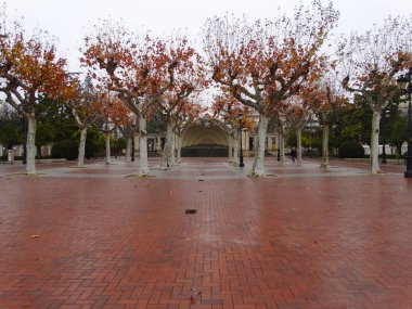 Espolon mesire kabuk Kioskat ile geri Logroño, İspanya sonbahar yaprakları