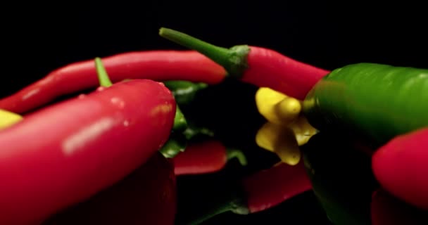Пряный перец красный желтый зеленый зеленый свежий чили паприка пищи 4k HQ супер макро крупным планом — стоковое видео