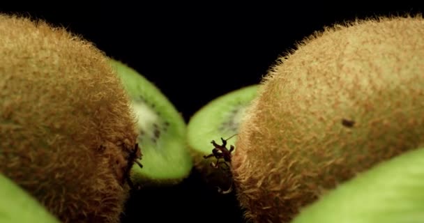Sulu taze kivi meyvesi yarı süper makro yüksek kalite yakın çekim. — Stok video