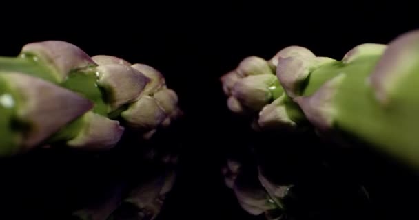 Verse Asperges groene lange plantaardige super macro close up — Stockvideo