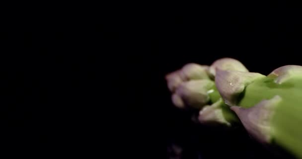 Verse Asperges groene lange plantaardige super macro close up — Stockvideo