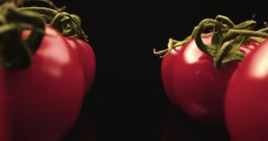 Taze kırmızı domates, merkez süper makro yakın plan, koyu arka plan, benzersiz yüksek çözünürlüklü 4k çekim.