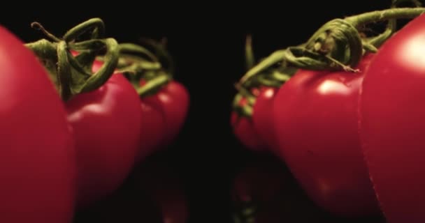 Свіжі червоні коктейльні помідори HQ супер макро крупним планом з темним тлом унікальна висока роздільна здатність 4k shoot Fly Over — стокове відео