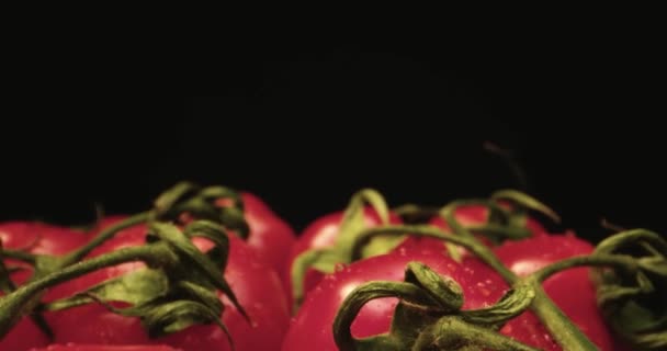 Свежий красный коктейль помидоры Штаб-квартира супер макро крупным планом с темным фоном уникальный высокого разрешения 4k стрелять Fly над — стоковое видео