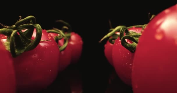 Fresco vermelho coquetel tomates HQ super macro close-up com fundo escuro exclusivo de alta resolução 4k atirar Voar sobre — Vídeo de Stock