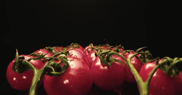 Fresco vermelho coquetel tomates HQ super macro close-up com fundo escuro exclusivo de alta resolução 4k atirar Voar sobre — Vídeo de Stock