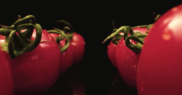 Fresco vermelho coquetel tomates HQ super macro close-up com fundo escuro exclusivo de alta resolução 4k atirar Voar sobre — Vídeo de Stock