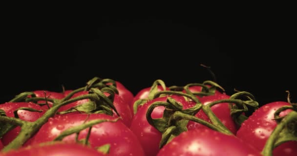 Fresco vermelho coquetel tomates HQ super macro close-up com fundo escuro exclusivo de alta resolução 4k atirar Voar sobre — Vídeo de Stock